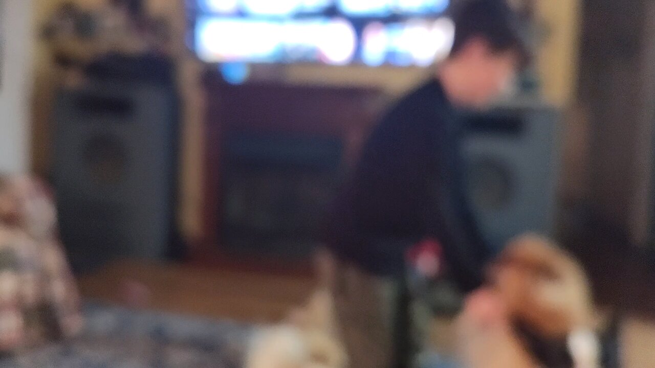 dancing with the dog