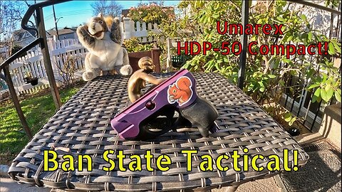 Umarex HDP-50 Compact REview! Testing an exposed detent modification for carry! (Ban State Tactical)