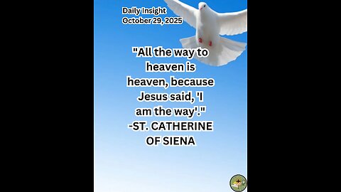 Daily Insight October 29, 2025 #faith #saint #insight