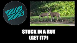 1000 Day Journey 0807 Stuck in a Rut (Get It?)