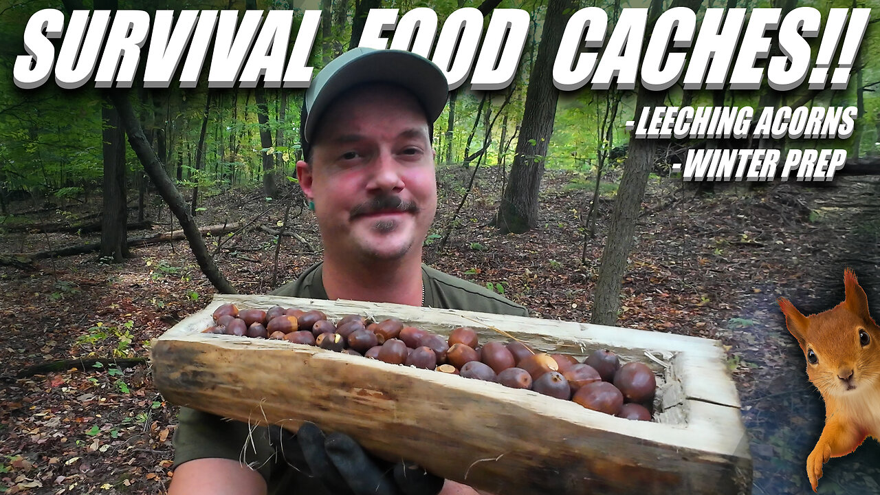SURVIVAL FOOD CACHES | To help you survive the winter - From oak to acorn snacks/leeching tannins!