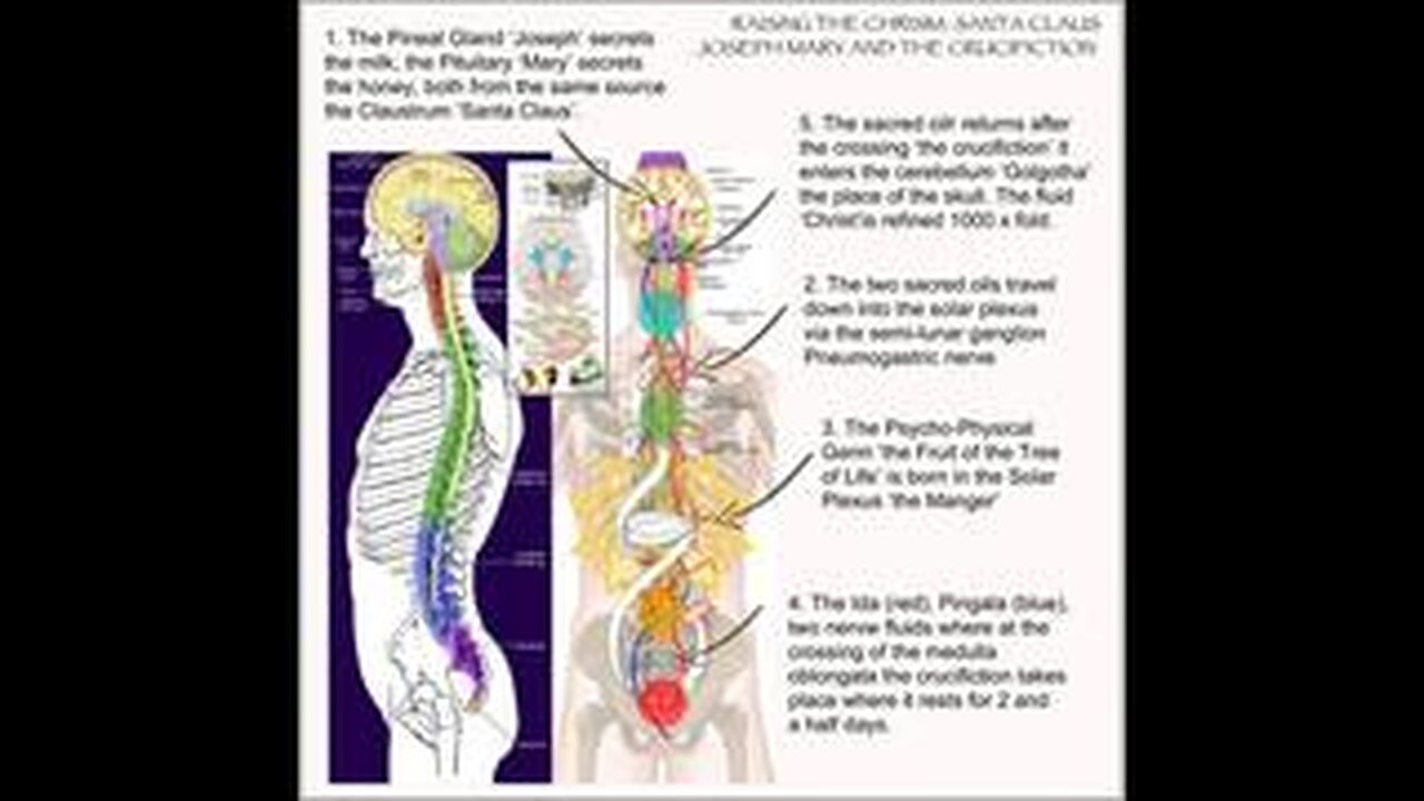 THE SACRED SECRETION-Finding and Raising the Christ Within