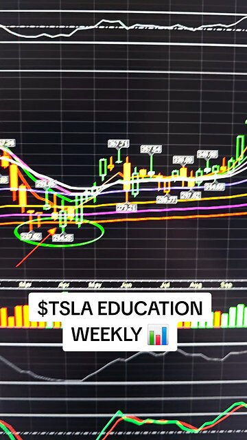 $TSLA WEEKLY 📊