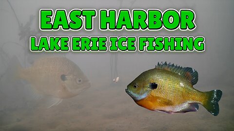 East Harbor Lake Erie Ice Fishing Underwater Footage