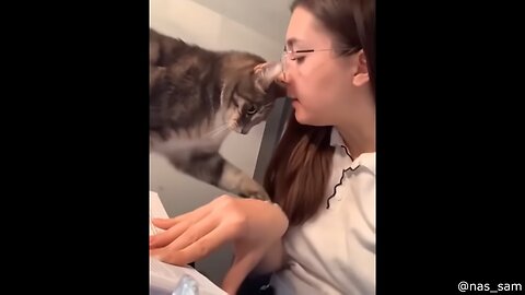 Best Cat Videos of the Decade