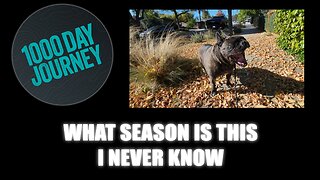 1000 Day Journey 0883 What Season is this? I Never Know