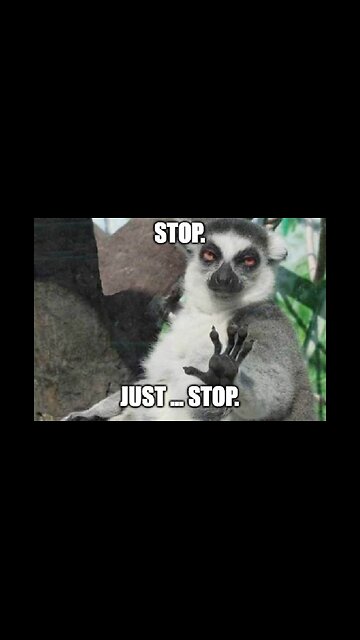 Everyone Is FED UP With Woke Girl Boss Ad That Nike Aired During The Super Bowl