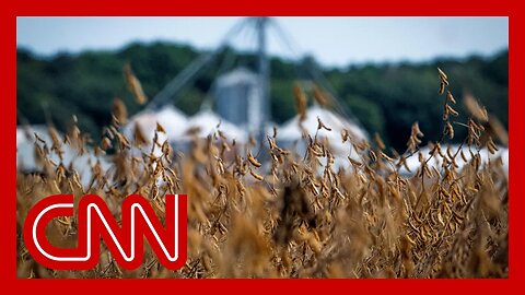 Soybean farmer on Trump's tariff war: 'I mean, where do they want me to market this stuff?'