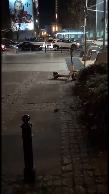 It's not just beavers that can be found in Poland — night in Warsaw.