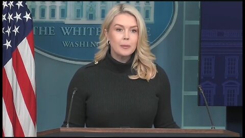 Karoline Leavitt Breaks Down What Caused the Violence In Minneapolis