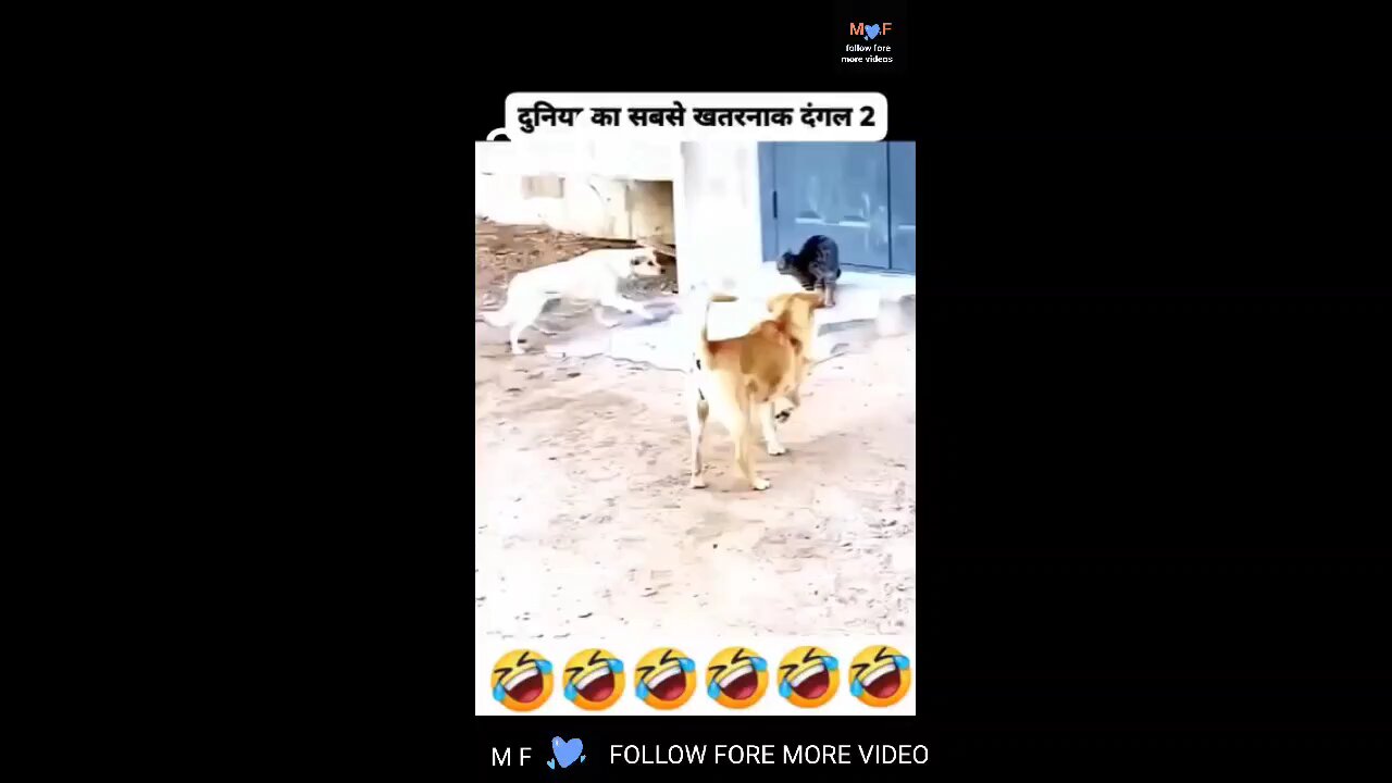 like video