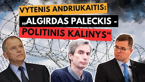 Vytenis Andriukaitis: „Algirdas Paleckis - politinis kalinys“ [ir jis teisus]