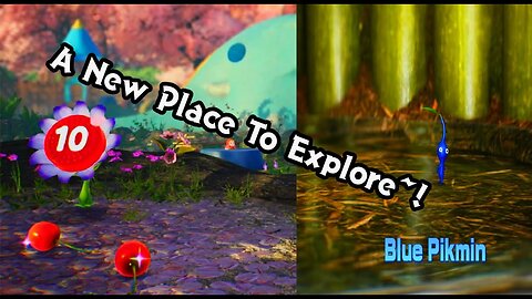 Pikmin 4 ll Blossoming Arcadia Blossoming Blues [Part 6 ll Switch]