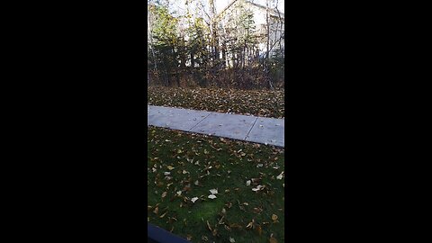Wasilla Chronicle Fall 2025 Fall is Here