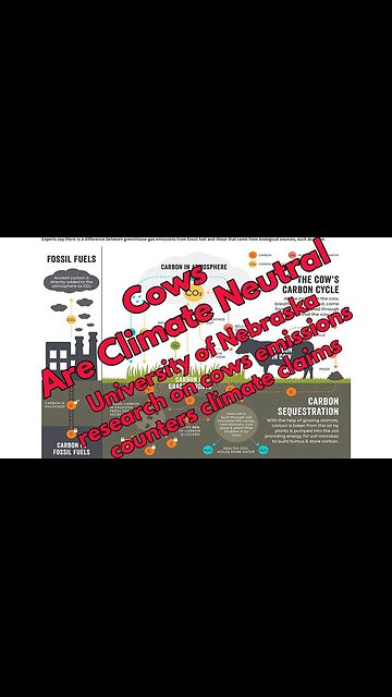 Cows Are Carbon Neutral - University Of Nebraska Groundbreaking Study Counters Climate Claims