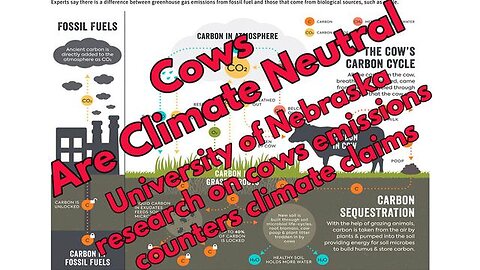 Cows Are Carbon Neutral - University Of Nebraska Groundbreaking Study Counters Climate Claims
