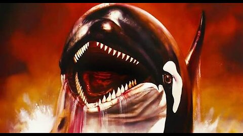 Killer Whale 2025/26