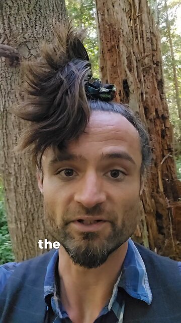 R*** capital Of The World