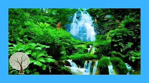 How to Relax IMMEDIATELY | Relaxing Piano Music with Water Sounds 🎹 Relaxing Music