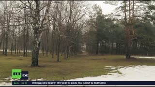 RT DE LIVE-TV