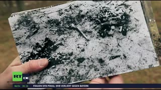 RT DE LIVE-TV