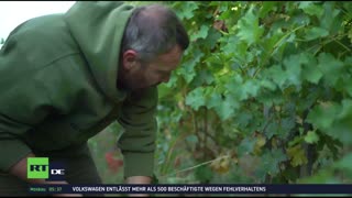 RT DE LIVE-TV