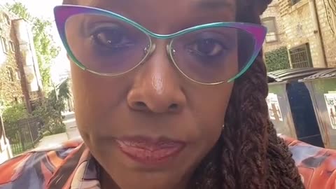 Michigan Democrat, steal money