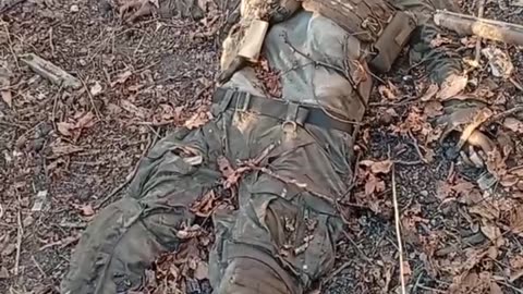 Ukriane war combat footage 10/1/25