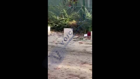 Ένοπλη λησεία στη Λυών