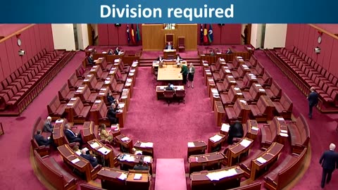 Australian far-right senator sparks outrage by wearing burqa