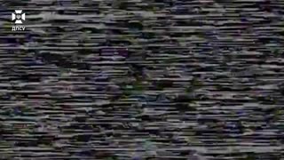 RUBPAK "Aquila" of the "Steel Border" border brigade destroyed 5 enemy shelters,