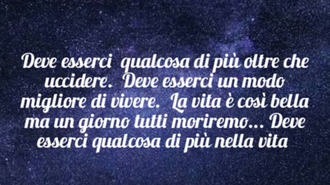 "There must be more life than this"-Freddie Mercury (1985)-traduzione in italiano