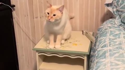 he doesnt know what to do with himself😭😭