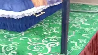 ☠️🐷36427 Good morning, my nose