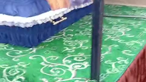 ☠️🐷36427 Good morning, my nose