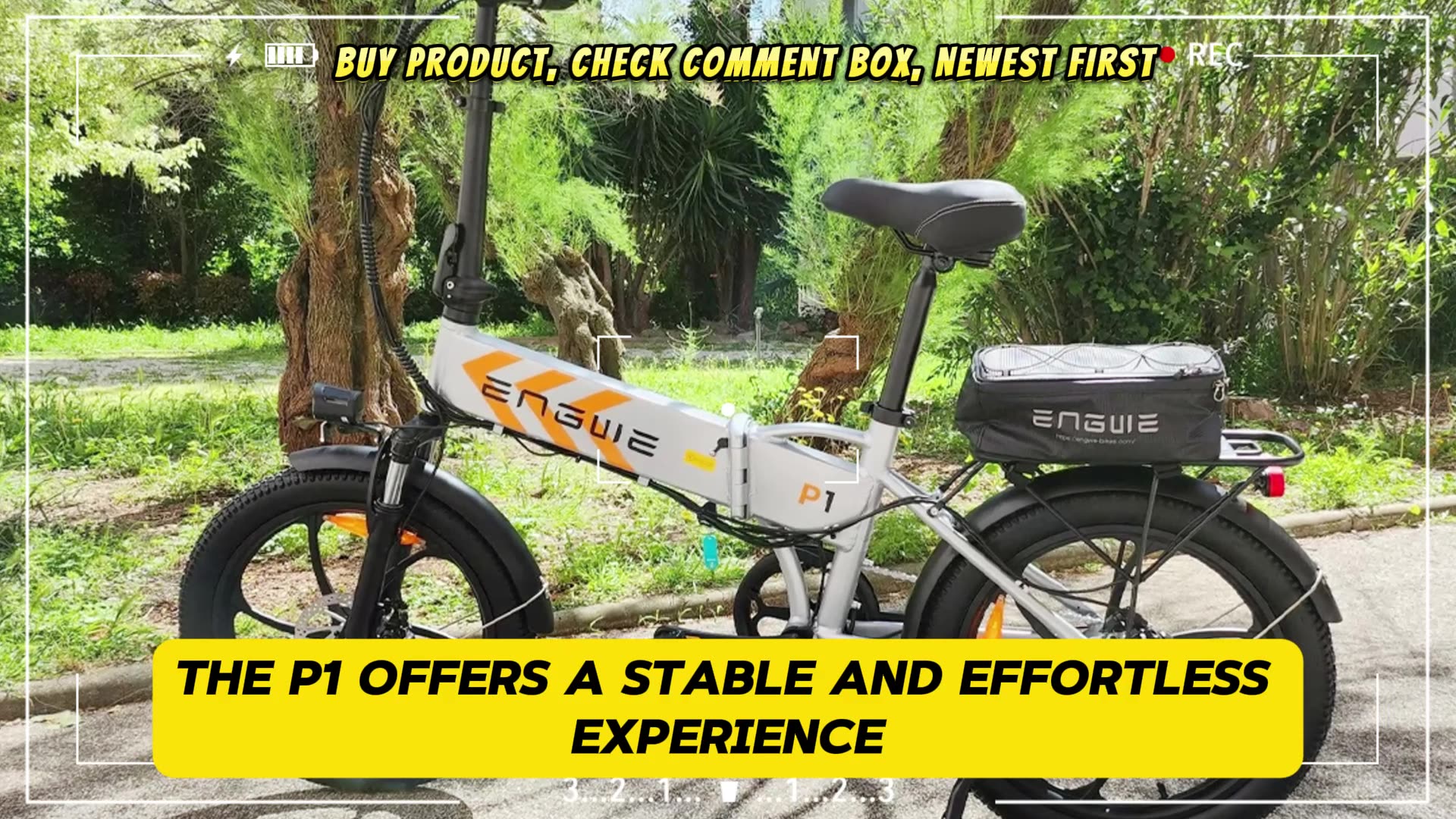 ENGWE P1 Electric Bike 250W Motor 36V 13Ah Battery 20 Inch Wide Tire Electric Bike