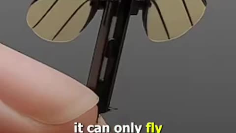 🤯🔥CHINA: MENOR DRONE ESPIÃO DO MUNDO - COM FORMATO DE MOSQUITO🤯🔥