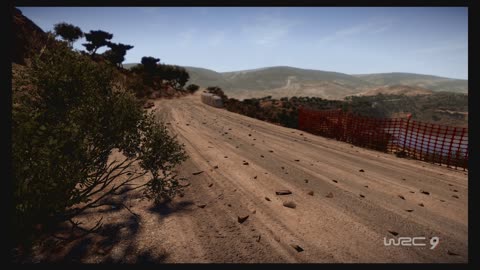 WRC9 (Ps5) Race7