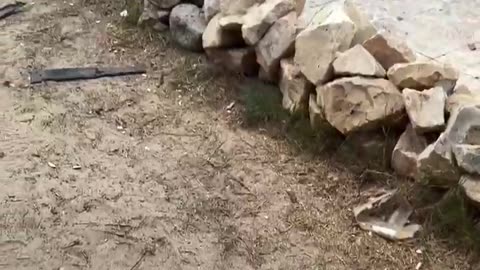 Israel killed Palestinian journalist Ahmad Abu Mutair