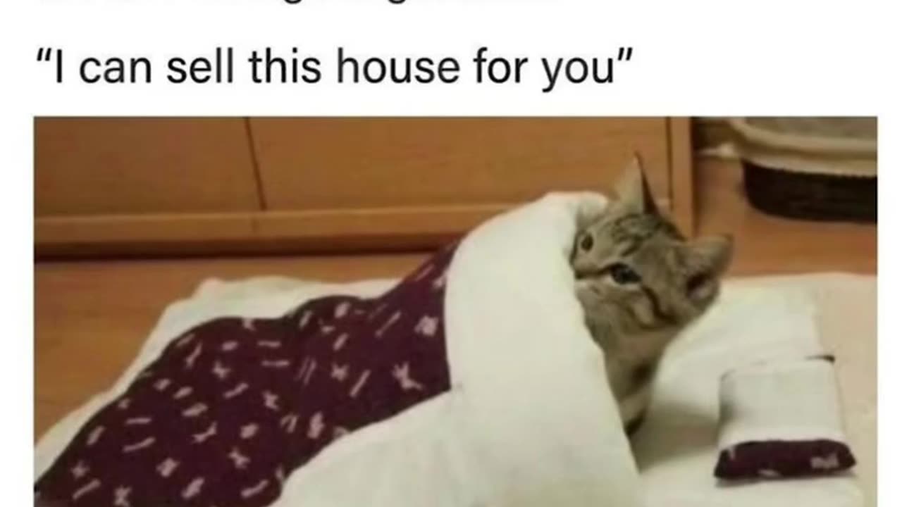 Kidney is a better option not my house