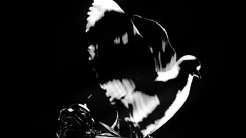 Pop Smoke - Paranoia (ft. Young Thug, Gunna & Pusha T) (432hz)