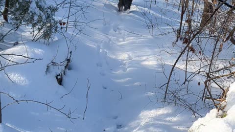 Going out for a walk