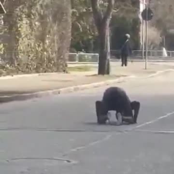 Fake African asylum seeker in Germany prays to Allah in street without clothes