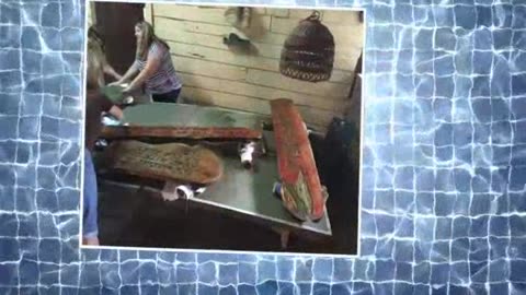 Praise Family Flash Back Missins Trip