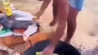 😂🐟 You Won't Believe This Fish Feast! | FunFM