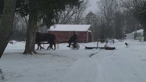 MENNONITE NEIGHBOR SHOWS UP WITH TEAM OF HORSES AND A SNOWPLOW