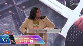 Pioneer Channel LIVE