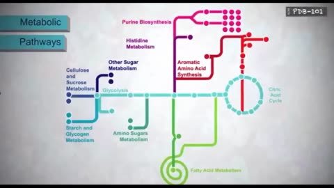 IVERMECTIN FRIEND OR FOE TRUMP PUSHED THS AND THE NEW CANCER INJECTION