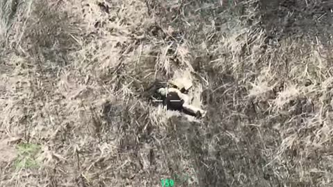 Ukraine war combat footage 10/4/25
