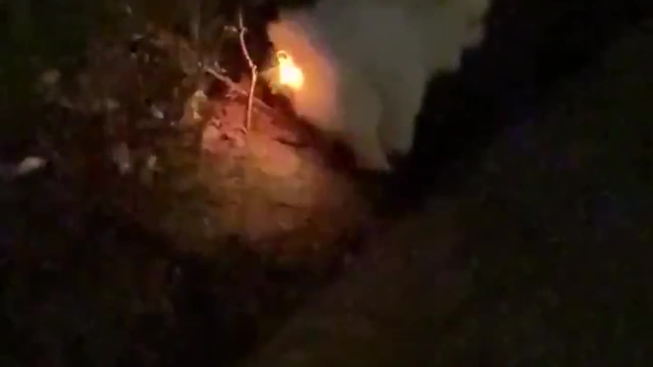 😮✨ Dog Eats Flashing Light — See What Happens Next! | FeedMyCuriosity
